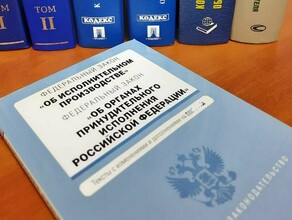 Для амурской компании неоплаченный штраф обернулся административным наказанием