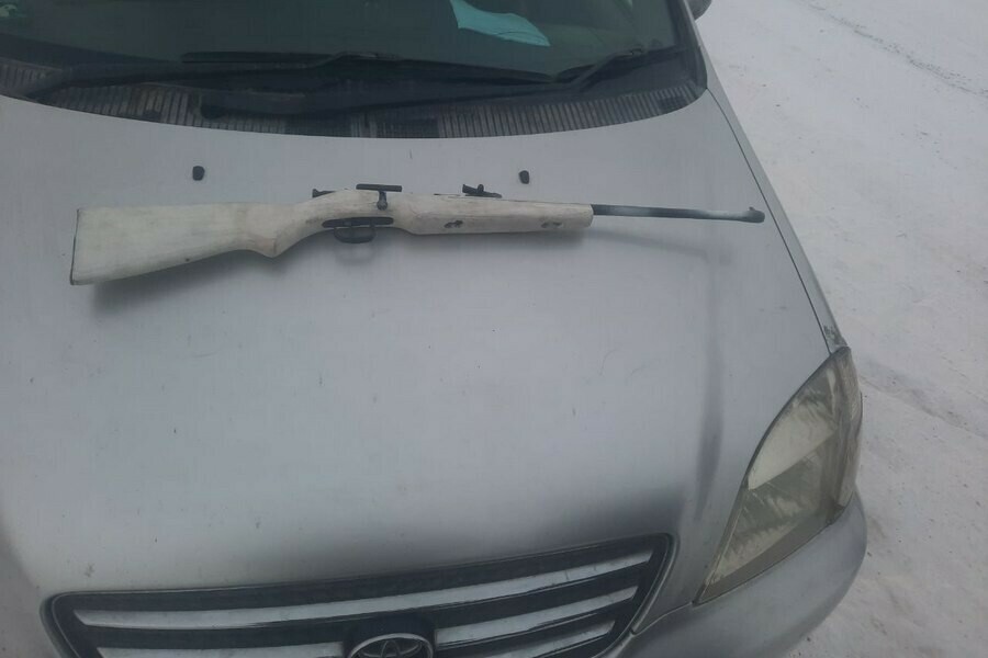 В Приамурье мужчин поймали на охоте за фазанами Что им грозит 