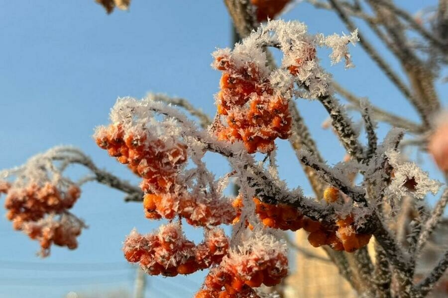 Грядут крепкие морозы Какой будет погода в Приамурье на текущей неделе 