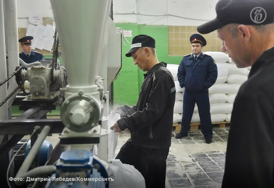 В России отменены исправительные работы для безработных осужденных