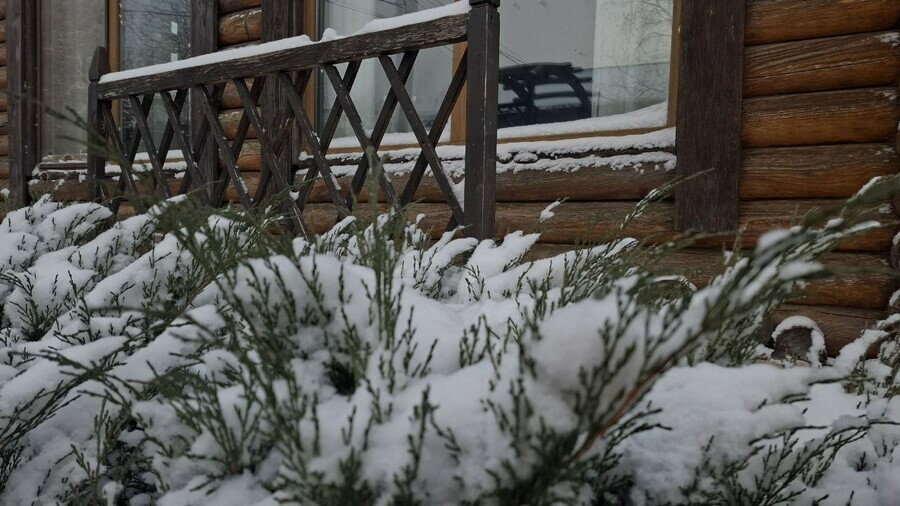 Прогноз погоды в Амурской области на 22 января