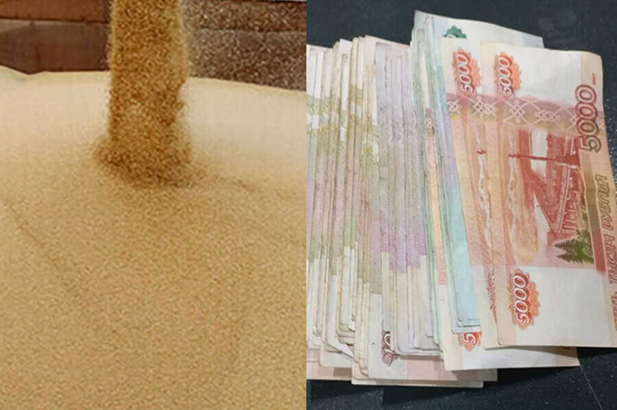 В Благовещенске будут судить предпринимателя за махинации с несуществующей соей