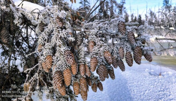 В Приамурье придут якутские морозы