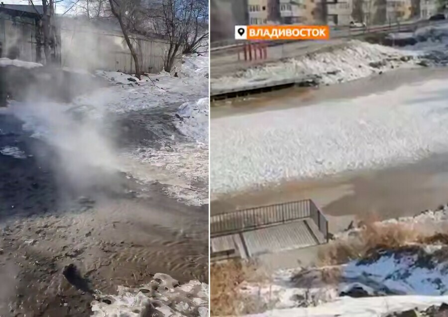 Кипяток хлещет в озеро с черепахами на Дальнем Востоке видео