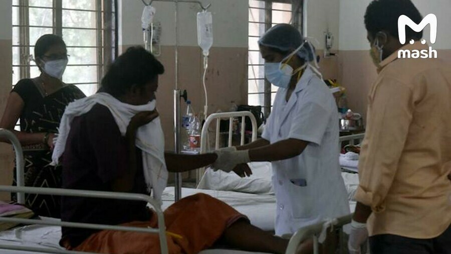 Первый смертельный случай от вируса Нипах зафиксирован в Индии человек впадает в кому за 24 часа