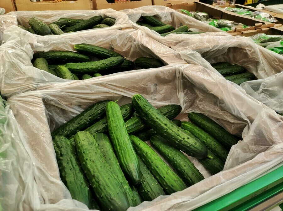 Огурцы как мясо в регионах взлетели цены