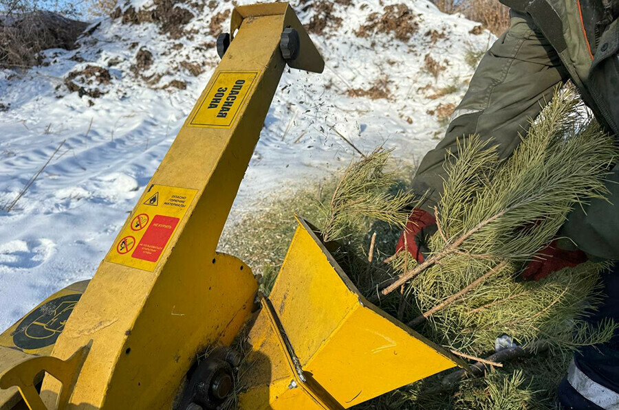 От праздничных деревьев в Белогорске остаются одни щепки фото