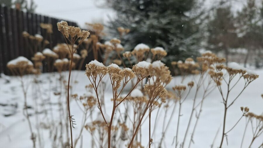Прогноз погоды в Амурской области на 28 января