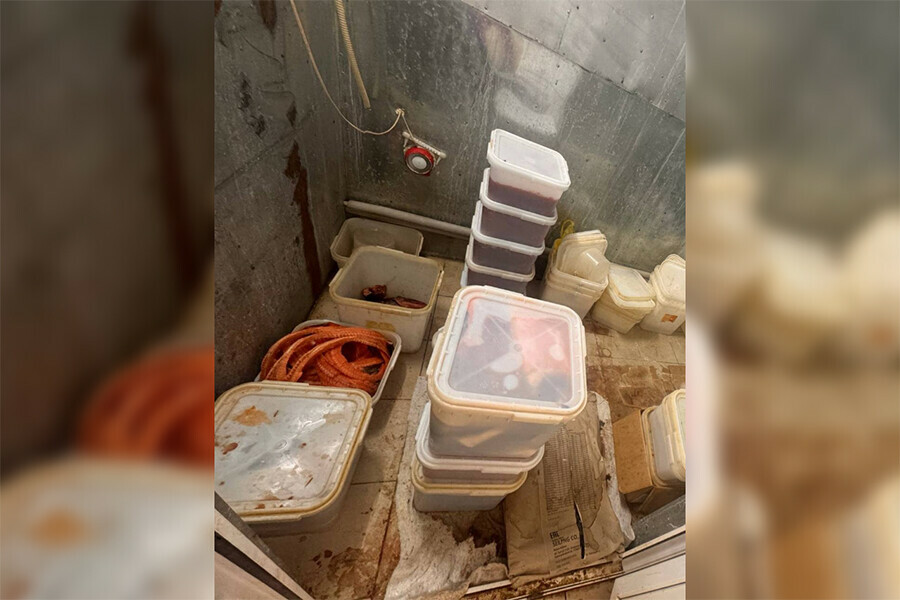 Антисанитарное производство рыбы и красной икры неизвестного происхождения обнаружили в Амурской области фото