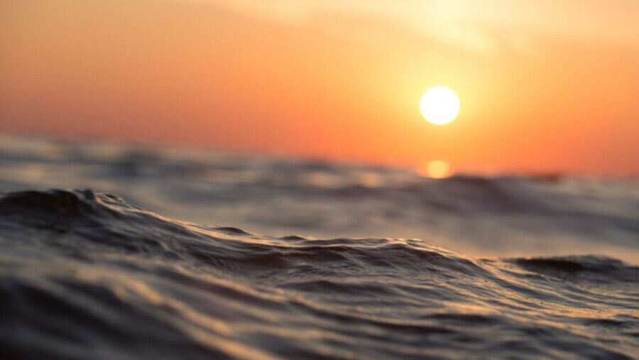 На Дальнем Востоке водолаза нашли живым после суток поисков в море