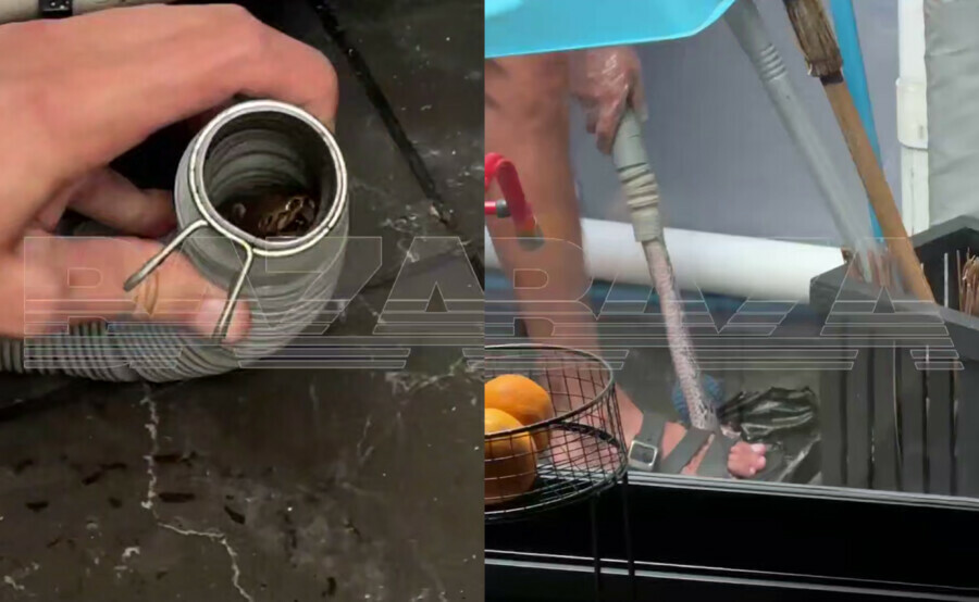 Российских туристов в Таиланде шокировало открытие почему перестала работать стиральная машина