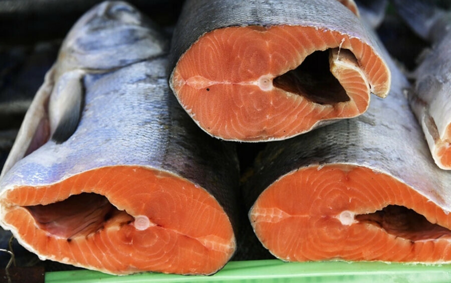 Страна без выхода к морю стала главным поставщиком рыбы в Россию