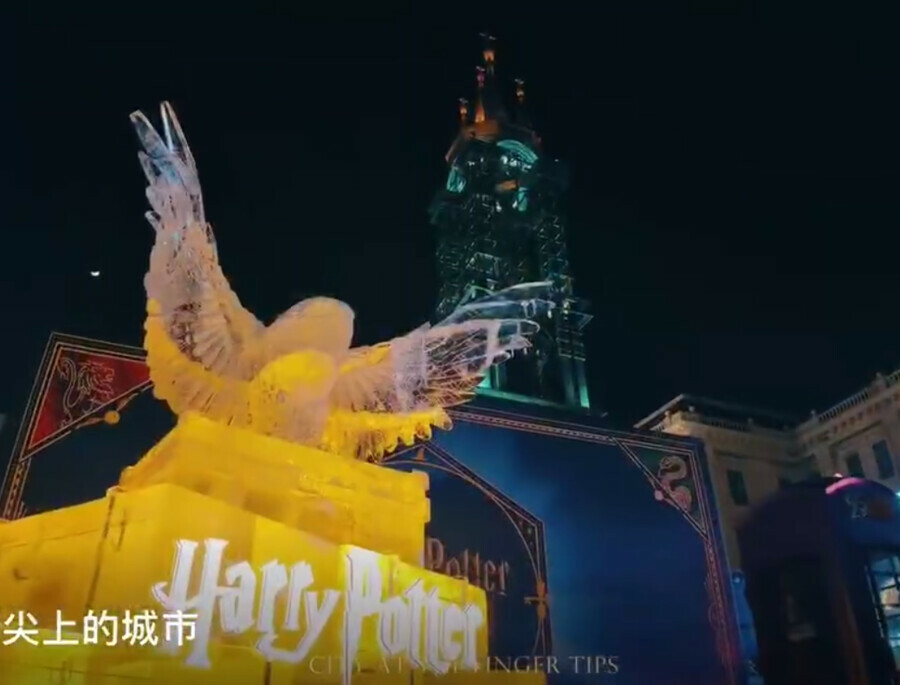 В Харбине возле Софийского собора появилась ледяная сова из Гарри Поттера видео