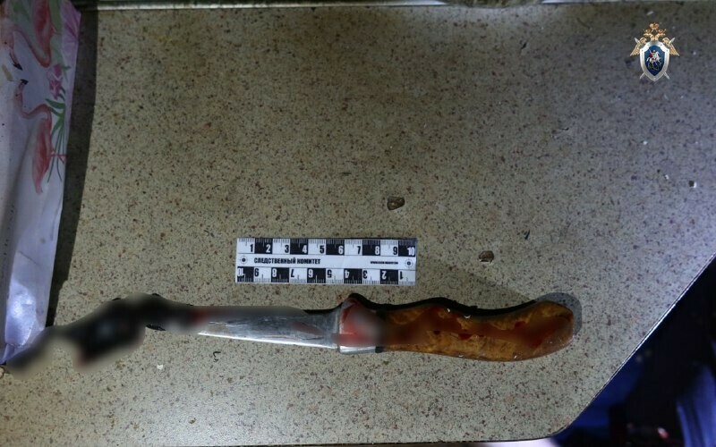 Одного жестоко зарезал другому угрожал убийством амурчанина ждет суд