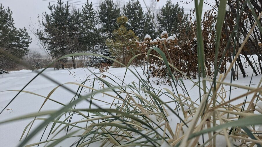 Прогноз погоды в Амурской области на 3 февраля