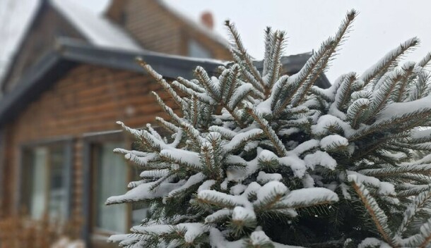 Прогноз погоды в Амурской области на 4 февраля