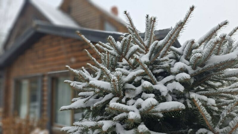 Прогноз погоды в Амурской области на 4 февраля