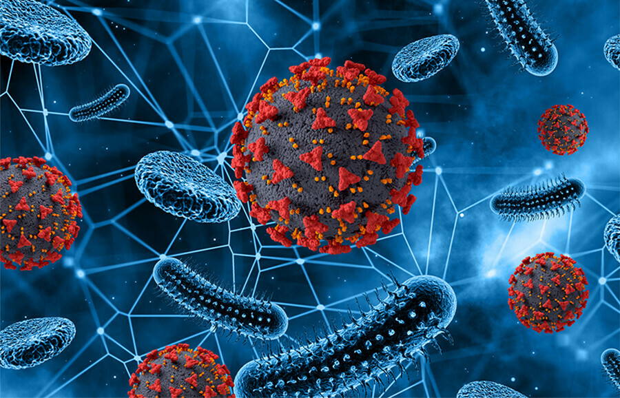 Женщина привезла в Россию с Сейшельских островов лихорадку чикунгунья