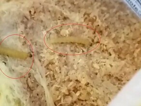 Амурчанка нашла живых червей в крупе известного бренда Что ответил изготовитель видео