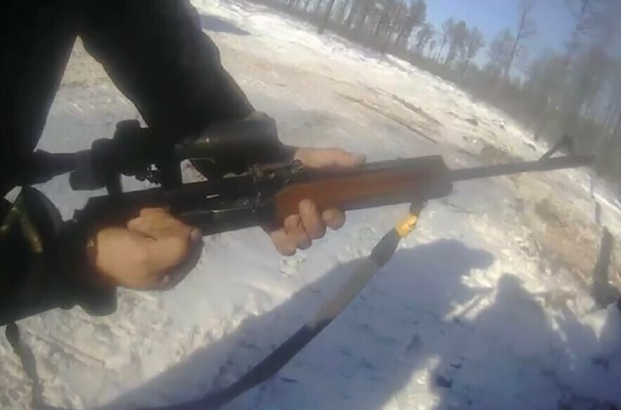 В Амурской области заготовители дров отстрелили косулю