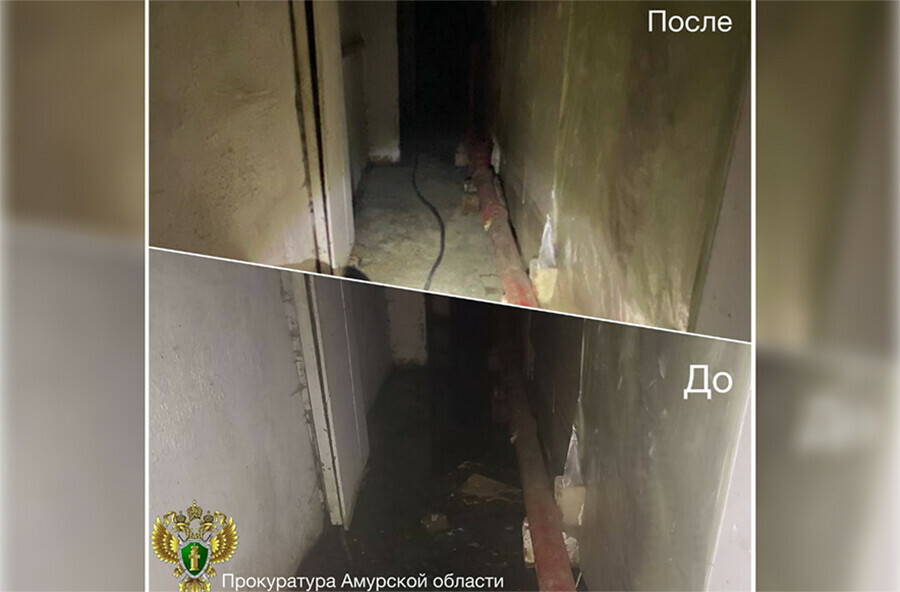 Миазмами приходилось дышать жителям многоквартирного дома в Тынде изза нерадивой управляйки