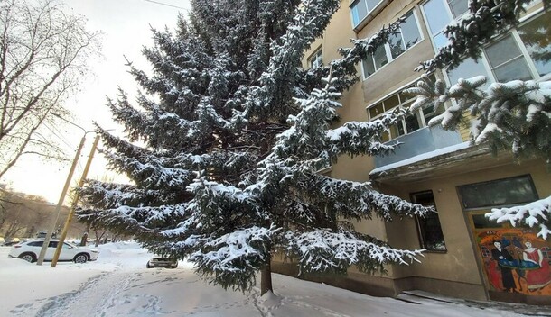 Прогноз погоды в Амурской области на субботу 7 февраля