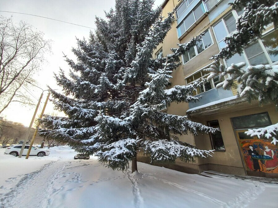 Прогноз погоды в Амурской области на субботу 7 февраля