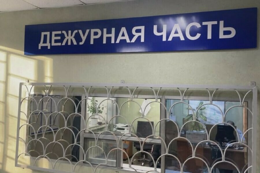 Амурчанин вырубил деревья на особо охраняемой природной территории