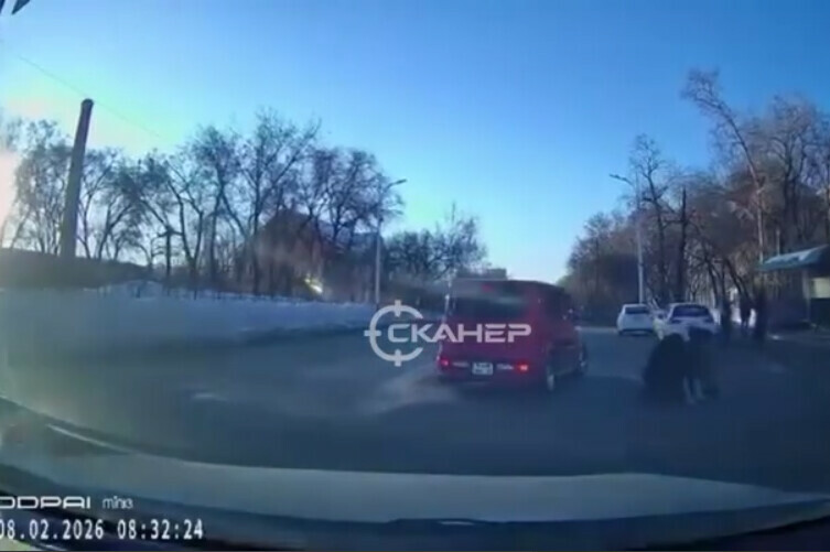 Соцсети в Благовещенске сбили пешехода