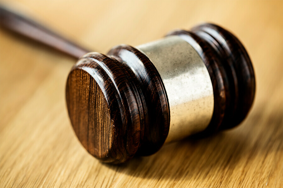 В Благовещенске за Лирику осуждена мать маленькой дочери