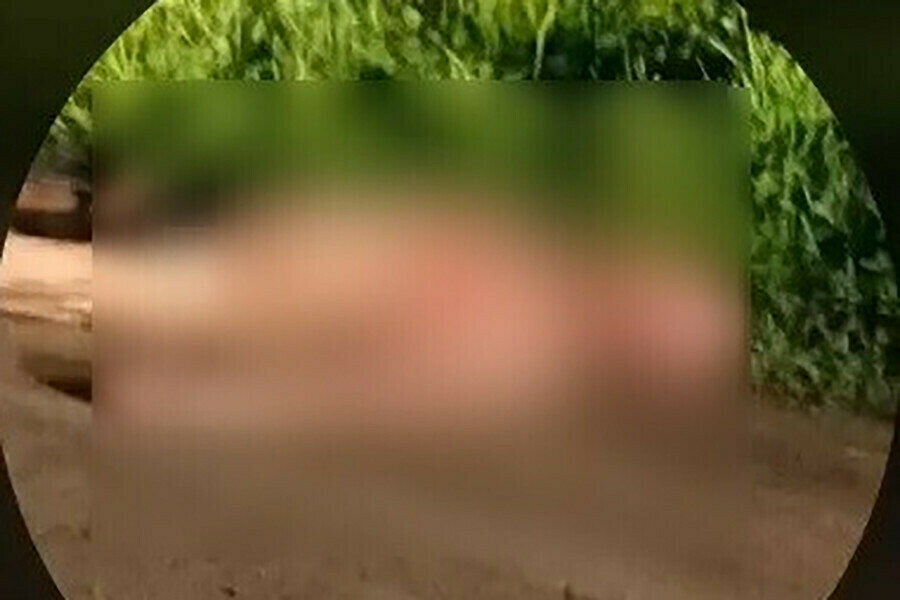 Приговор убийце амурчанки надругавшемуся над ее телом оставлен без изменения