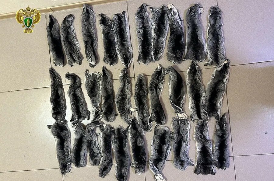Две иностранки пытались контрабандой вывезти из Благовещенска ценный мех фото
