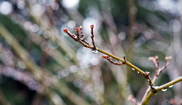 В Амурской области тепло прогноз погоды на 12 февраля