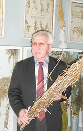 От агронома до директора института сои исполняется 95 лет со дня рождения известного амурского ученого Василия Кузина