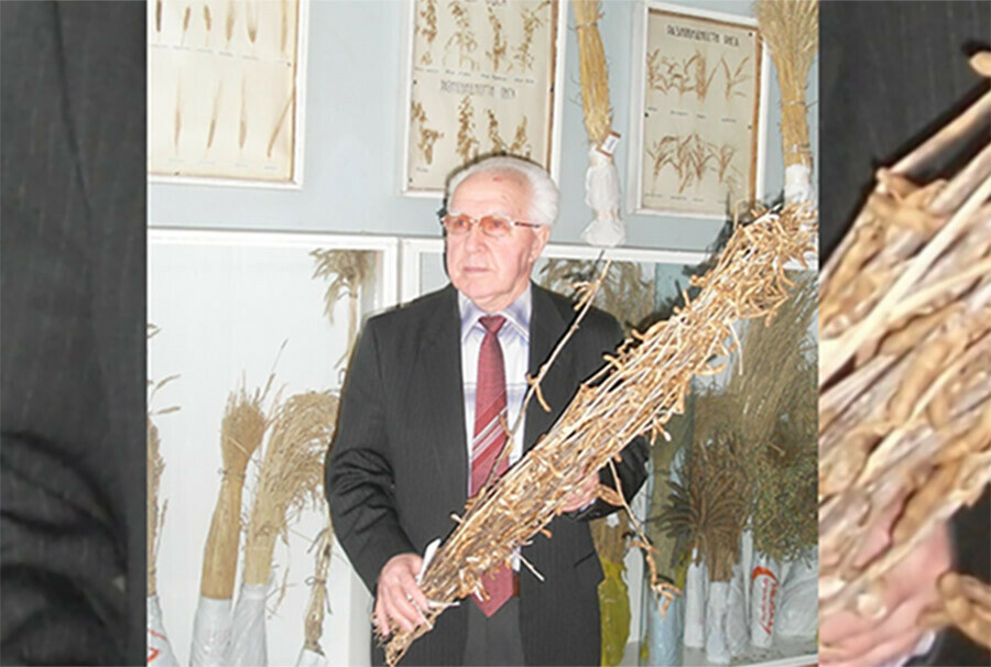 От агронома до директора института сои исполняется 95 лет со дня рождения известного амурского ученого Василия Кузина