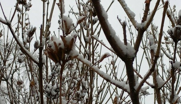 Воскресенье не порадует амурчан солнцем 