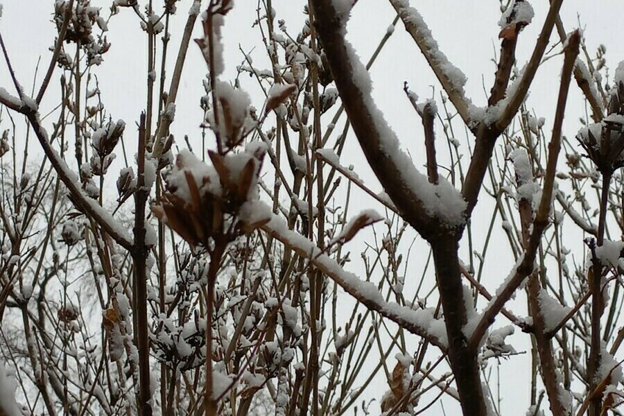 Воскресенье не порадует амурчан солнцем 