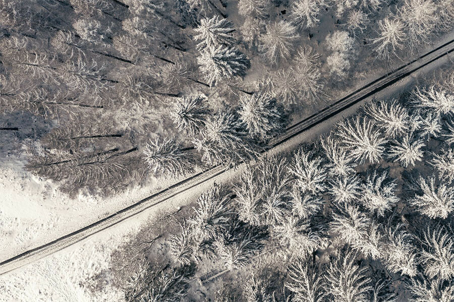 Движение поездов в Амурской области восстановлено Один опаздывает на 9 часов