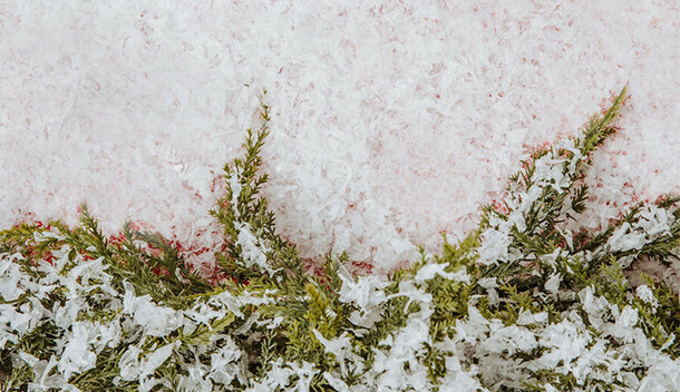 Первый плюс прогноз погоды в Амурской области на 20 февраля