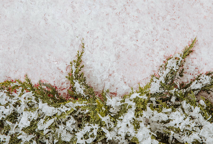 Первый плюс прогноз погоды в Амурской области на 20 февраля