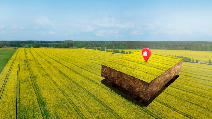 Процесс получения земельных участках на торгах ускорили в Амурской области 