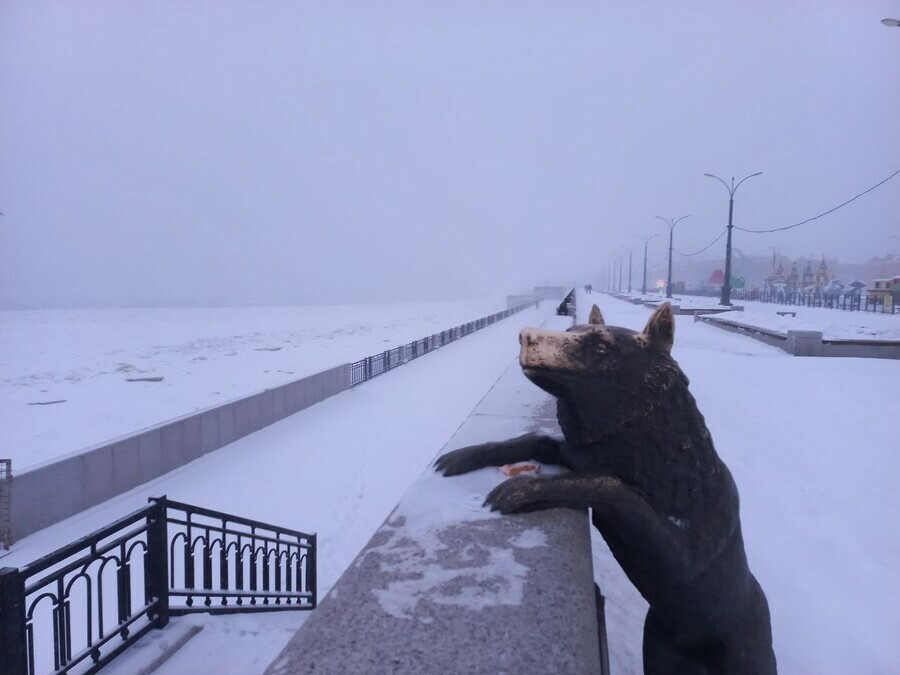 Прогноз погоды в Амурской области на субботу 21 февраля