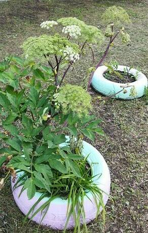 В одном из российских регионов создадут реестр растенийиноагентов