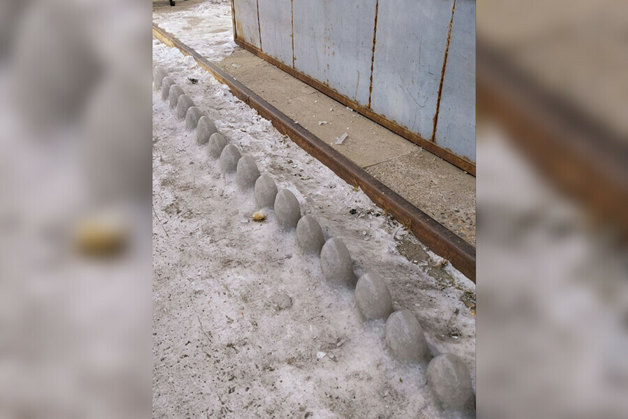 Необычные ростки на земле увидели в Зее фото