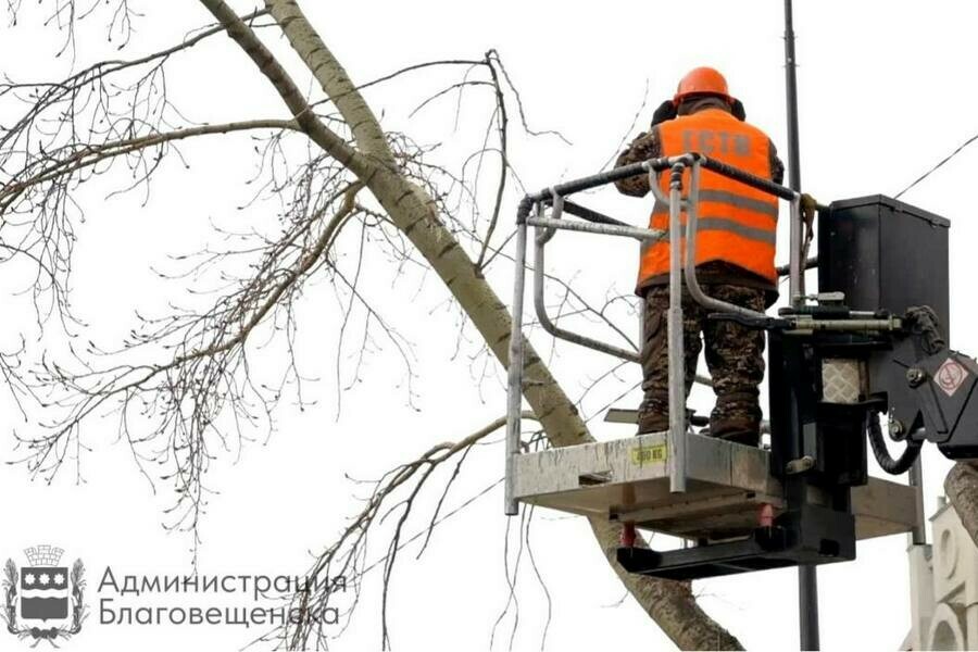 Власти Благовещенска объяснили куда и почему исчезают некоторые ветки с деревьев 