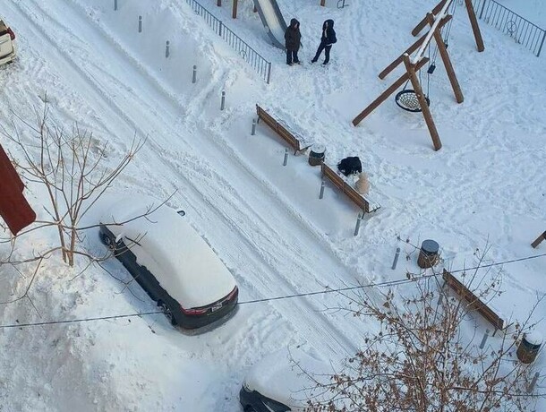 Столько снега в феврале за сутки прежде не фиксировали новый метеорекорд установлен в Благовещенске 