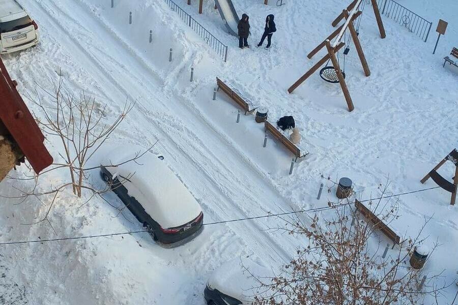 Столько снега в феврале за сутки прежде не фиксировали новый метеорекорд установлен в Благовещенске 