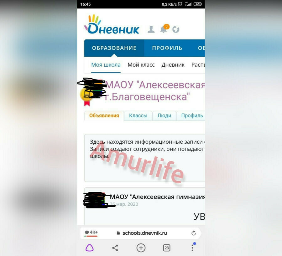 Разработчики Дневникру прокомментировали взлом страницы сайта в Алексеевской гимназии Благовещенска