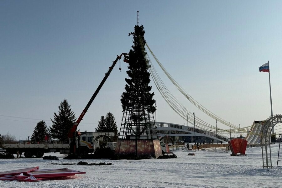 В Благовещенске на площади Ленина разбирают главный символ Нового года фото