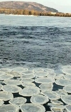 Что за блины увидели на льду Зеи амурчане рассказали специалисты